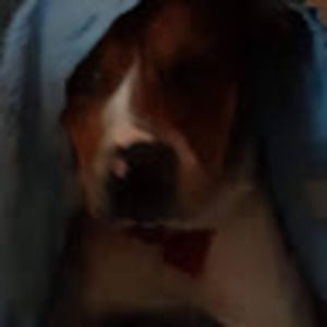 Meet your Posher, Mary-jane